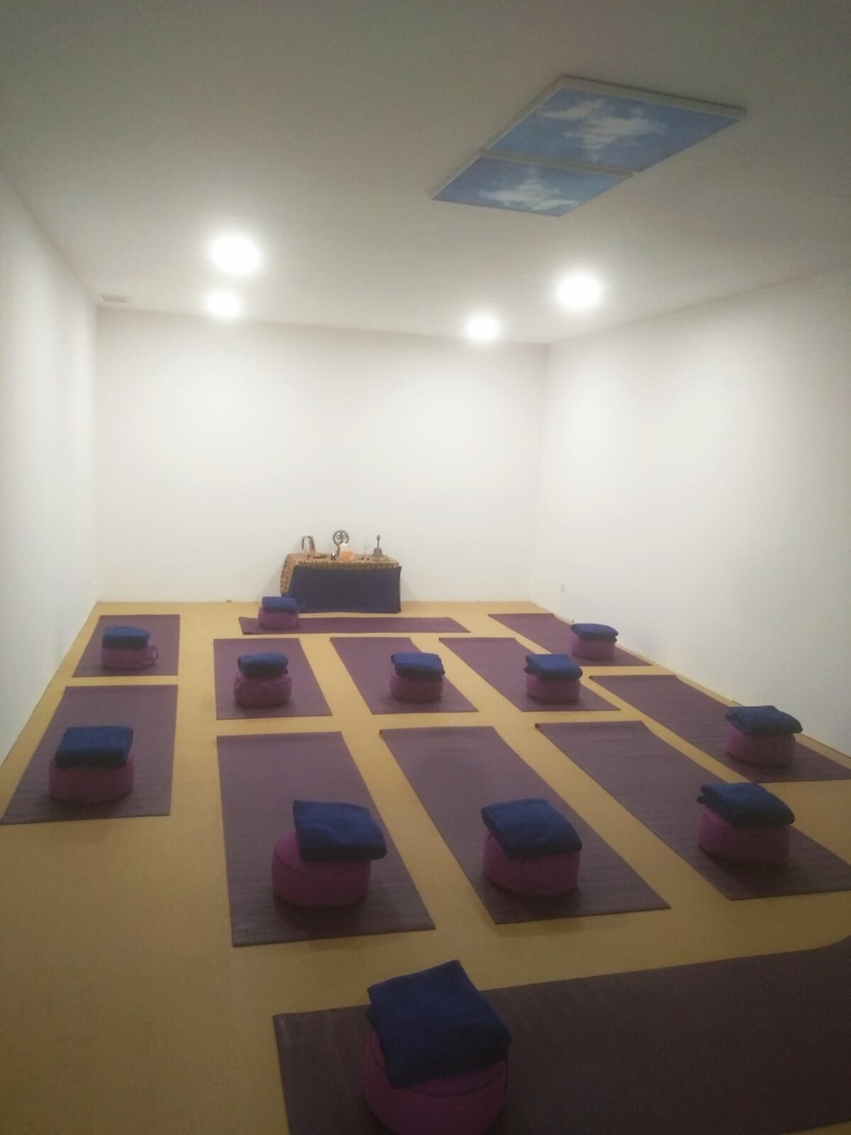 Clínicas de estética y fisioterapia — CASAL3